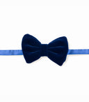 NAVY BLUE PUFFY VELVET BOW TIE