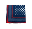 NAVY POLKA DOT POCKET SQUARE