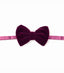 PLUM VELVET BOW TIE